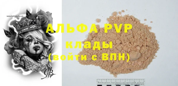 прущие грибы Бородино