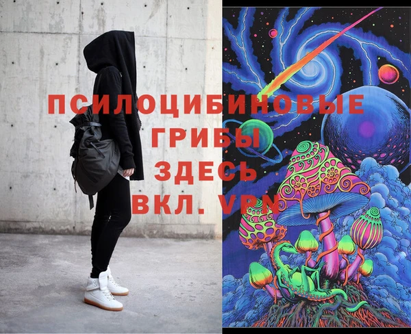 сатива Верхний Тагил