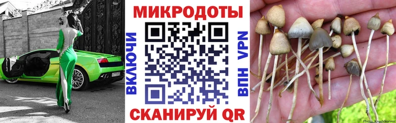 цена   Дятьково  Псилоцибиновые грибы мицелий 